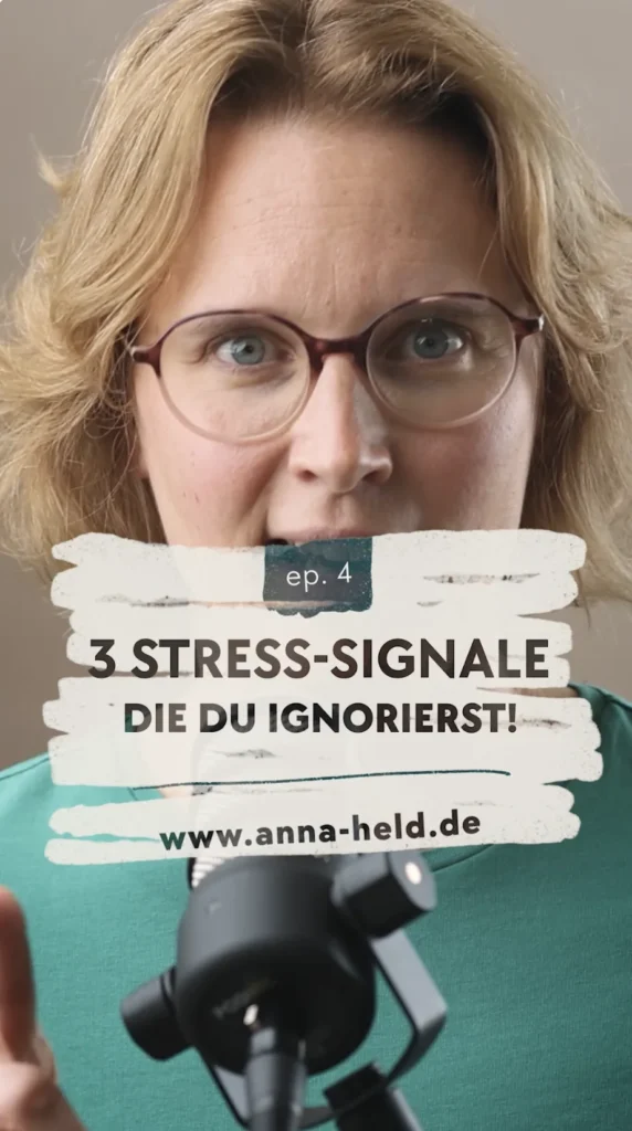 Ep4a 3 Stress Signale